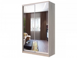 Шкаф-купе Хит 22-12-55