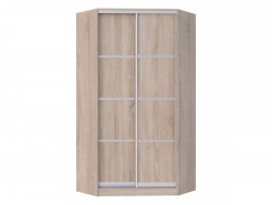 Шкаф-купе Хит-У-22-4-11 с планками
